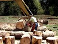 PNW GTG - Ironbark - 084 - Nice Cut