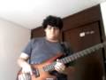 videos de anesthecia pulling theet cover on bass