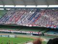videos de a maior torcida tricolor do BRASIL