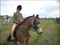 Hilin pony best ever side saddle champion