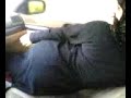 Halal niqab booty seduction Halal niqab booty seduction