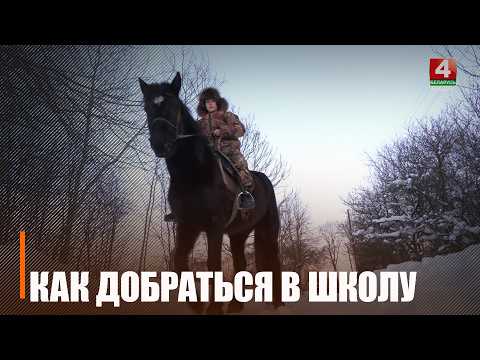 А слабо на лошади в школу приехать? Да нет, не слабо, я бы приехал, да директор не пускает и привязать негде. Единственный школьник из деревни Васильполье не может попасть на занятия из-за снегопада видео
