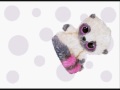 PELUCHES AURORA DESDE $80 PESOS. CEL:0445518396097 MAIL:peluchesaurora@hotmail.com