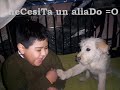 meLissioOn impoOsible meLissioOn impoOsible
