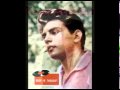 Fabian - Tiger