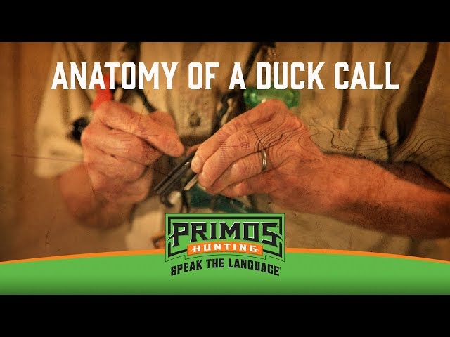 Anatomy of a Duck Call