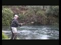 Czech Nymphing Reids Pool On The Waitahanui River Taupo