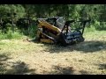 CAT 299D XHP w/CAT/FAE HM 315 mulcher.