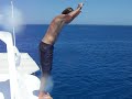 Bas Boat Jumping 1,5