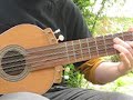GUITARRÓN (large guitar) The 