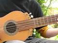 Guitarrón Chileno