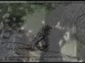 PANTANU - OCEANO DE ILUS�ES (ao vivo)