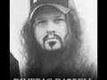 DIMEBAG DARRELL TRIBUTE IN THIS RIVER