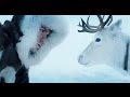    [ official video ] 