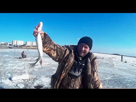 ловля карася в комсомольске ловля карася в комсомольске