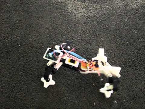 Bio inspired - Robots from Bio-Inspired Robotics (ENME 489L) Course in Spring 2011, University of Maryland, College Park.