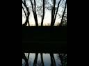 Gra Stanis?aw Santor - Canzonetta M. Moszkowskiego.wmv