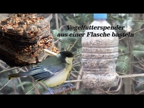Vogelfutterspender aus einer Flasche basteln