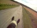Rider