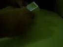 robers and cops card trick