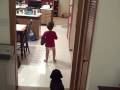 Jack dances to Elvis Jack dances to Elvis