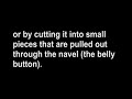 Female Anatomy: the uterus is a sex organ