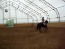 gaits