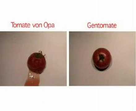 Gentechnik