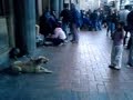 nina-gone-wild-iii.html