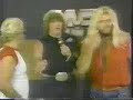 Freebirds promo in the WWF