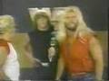 Freebirds promo in the WWF