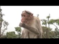 Inde kodaikanal montagnes station climatique, les montagnes du Tamil Nadu.

Nous y avons fait des très belles rencontres.
Nous avons fait quelques visites avec un groupe d'indiens et indiennes en vacance hypers sympatiques. Nous nous sommes bien amusé avec eux :)

Tour du monde
World Tour
http://mgdtasie.blogspot.com/
Dany Thibault 
Maryse Guévin - Kodaikanal en Inde station climatique.