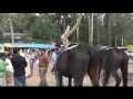 inde kodaikanal montagnes station climatique, les montagnes du tamil nadu.

nous y avons fait des tr�s belles rencontres.
nous avons fait quelques visites avec un groupe d'indiens et indiennes en vacance hypers sympatiques. nous nous sommes bien amus� avec eux :)

tour du monde
world tour
http://mgdtasie.blogspot.com/
dany thibault 
maryse gu�vin