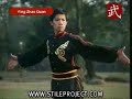 Wushu Eagle Claw (Yingzhao Quan)