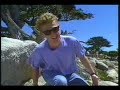 Alex Winter hosts The Big Picture 8/15/91 part 2 Alex Winter hosts The Big Picture 8/15/91 part 2