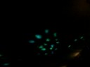 lights
