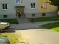 Kickbike Kolobezka Tretroller Speedroller
