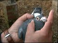 Hodowla Kulbacki Janssen scherpen de klak witneus meulemans pigeon tauben golebie witwer kadett rasa