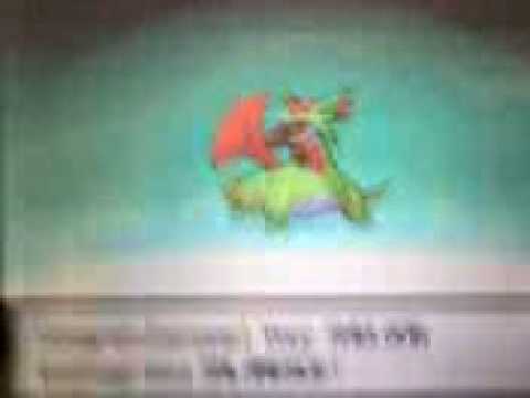 shelgon