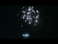 土浦全国花火競技大会 2008 「輝きのその先へ」