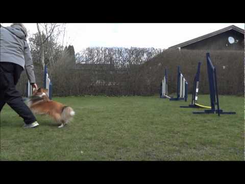 YouTube-forhåndsvisningsbillede
