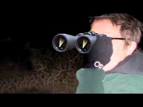 how to locate mars in the night sky