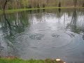 feeding frenzy