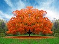 Wayne Dyer/The Awakened Life -- Part 2