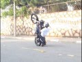 Cocão do grau