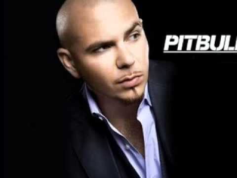 pitbul