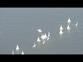 J22 ECC 2008