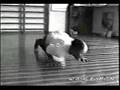Ginastica Natural - Movements