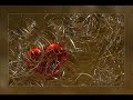Böhnchen.wmv