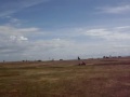 Kite Buggying and Paraglide Training at Garry Point Park